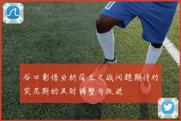 谷口彰悟分析荷兰之战问题期待对突尼斯的及时调整与改进