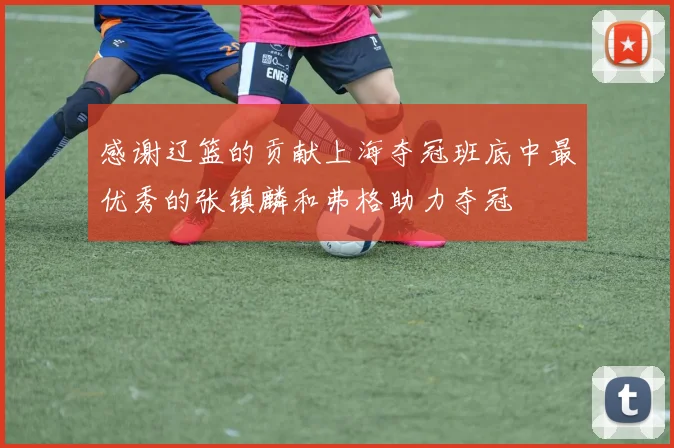 感谢辽篮的贡献上海夺冠班底中最优秀的张镇麟和弗格助力夺冠